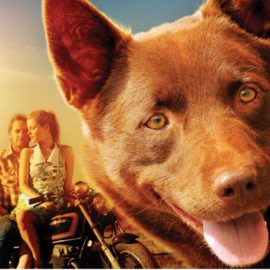 Red Dog Movie Night