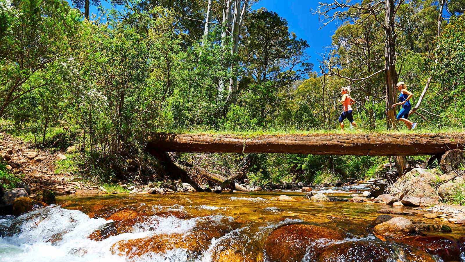 Delatite River Track