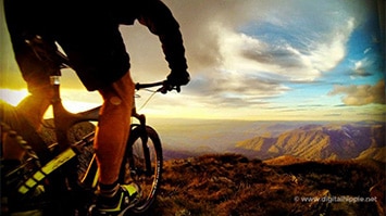 Mansfield & Mt Buller, Mountain Biking